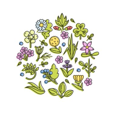 Renkli vektör dizayn şablonları ve amblemler - sağlıklı bitkiler ve baharatlar. Farklı tıbbi, kozmetik bitkiler. Moda doğrusal tarzda logolar.