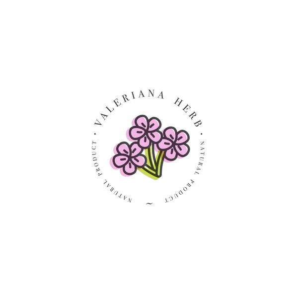 Plantilla de diseño vectorial logo y emblema saludable herb- valeriana. Logotipo en estilo lineal de moda aislado sobre fondo blanco . — Archivo Imágenes Vectoriales