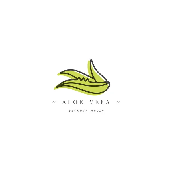 Logotipo de la plantilla de diseño vectorial y emblema herb- aloe vera saludable. Logotipo en estilo lineal de moda aislado sobre fondo blanco . — Archivo Imágenes Vectoriales