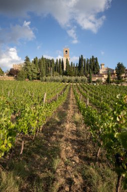 Chianti, Eylül 2018: Eylül 2018 in Chianti, Toskana, İtalya üzerinde arka planda karakteristik abbey, Tuscan bağ yatay