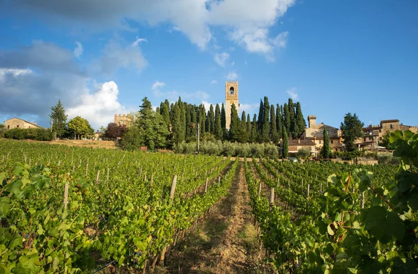 Chianti September 2018 Toscaanse Wijngaard Landschap Met Karakteristieke Abdij Achtergrond — Stockfoto