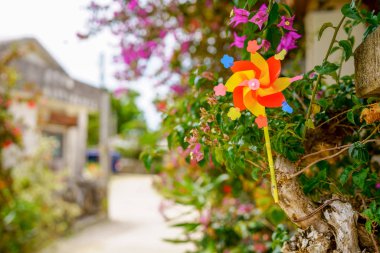 taketomi ada manzara