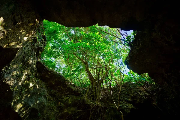 Caverna Calcário Ilha Ishigaki — Fotografia de Stock