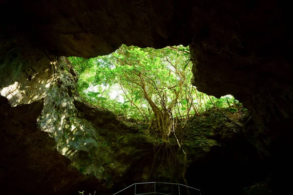 Kalksteinhöhle Auf Der Insel Ishigaki — Stockfoto