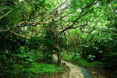 Okinawa altar