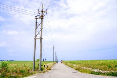 şeker kamışı alan hateruma Adası