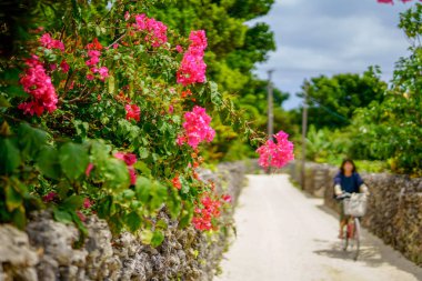 taketomi ada manzara