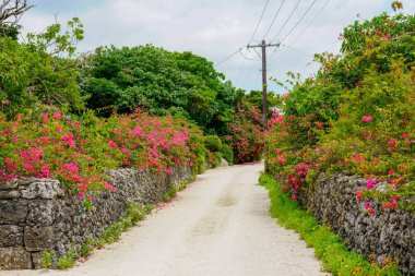 taketomi ada manzara