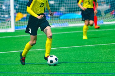 Japonya Futbol socce