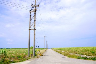 Hateruma ada manzara