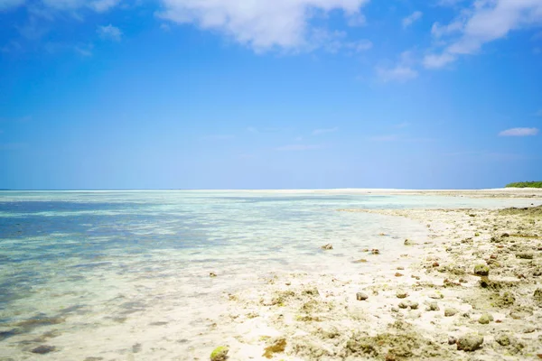 taketomi ada Beach'de Kaiji