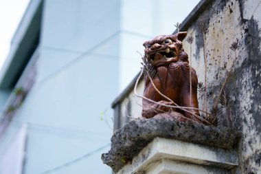 okinawa sokakta shisa