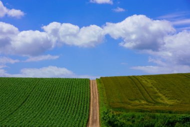Mavi gökyüzü ve alan