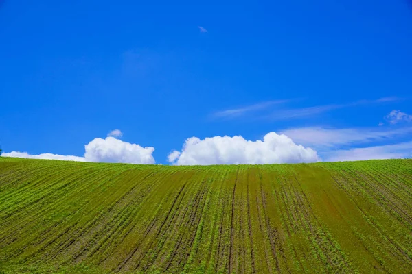 Ciel Bleu Champ — Photo