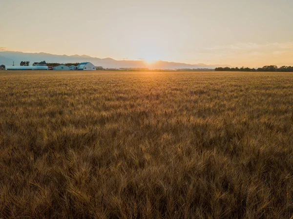 Tiro Alto Nível Hokkaido — Fotografia de Stock