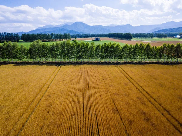 Wysoki Poziom Strzał Hokkaido — Zdjęcie stockowe