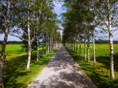 üst düzey Hokkaido içinde ateş