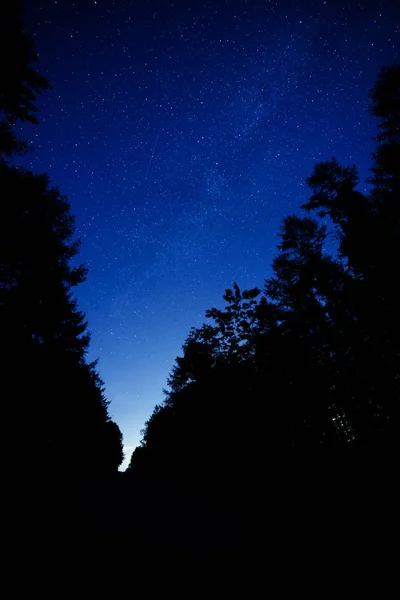 Млечный Путь Галактика Лес — стоковое фото