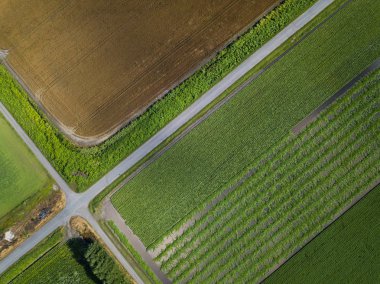 Kuş bakışı Hokkaido'da