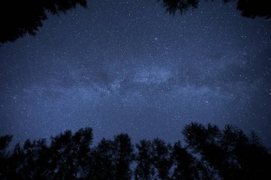 Miky şekilde galaxy ve orman