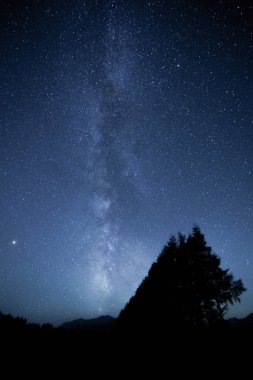 Miky şekilde galaxy ve orman