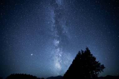 Miky şekilde galaxy ve orman