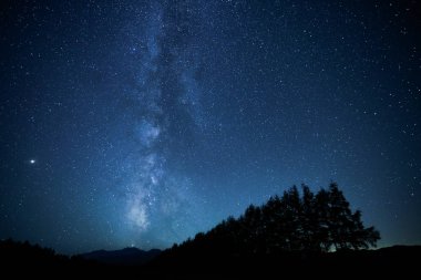 Miky şekilde galaxy ve orman