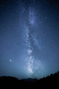 Miky şekilde galaxy ve orman