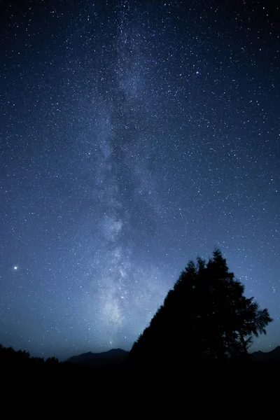 Мики Путь Галактика Лес — стоковое фото