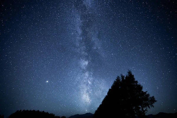 Miky 方法銀河と森 — ストック写真