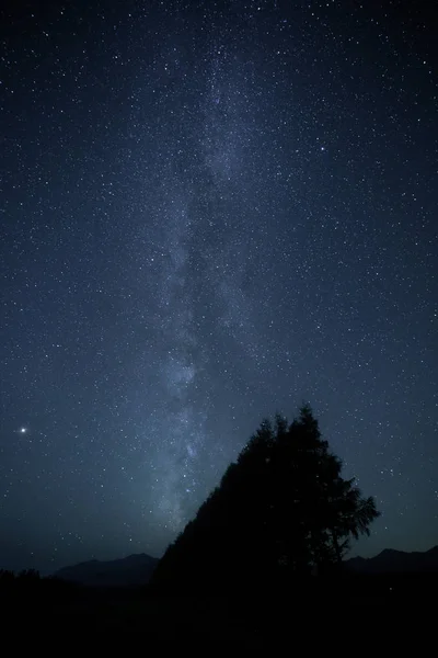 Vía Miky Galaxia Bosque — Foto de Stock