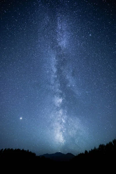 Voie Miky Galaxie Forêt — Photo