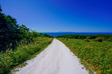 Hokkaido'da beyaz yol