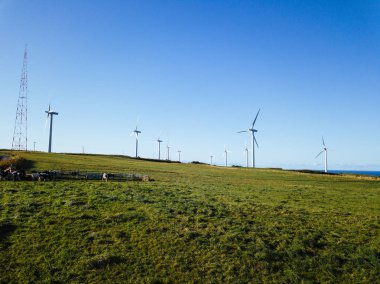 Hokkaido 'da rüzgar enerjisi üretimi