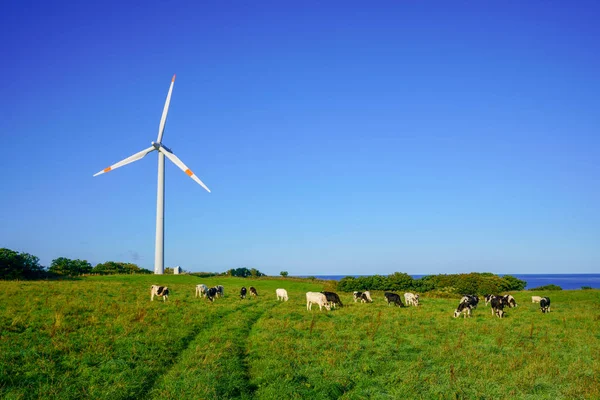 北海道の風力発電は — ストック写真