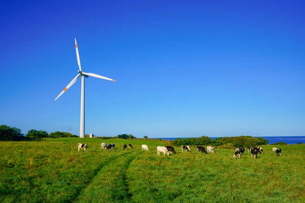 北海道の風力発電は — ストック写真