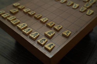 Shogi Japon Satrancı olduğunu