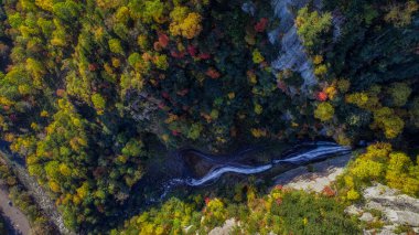 autumnn hokkaido şelale