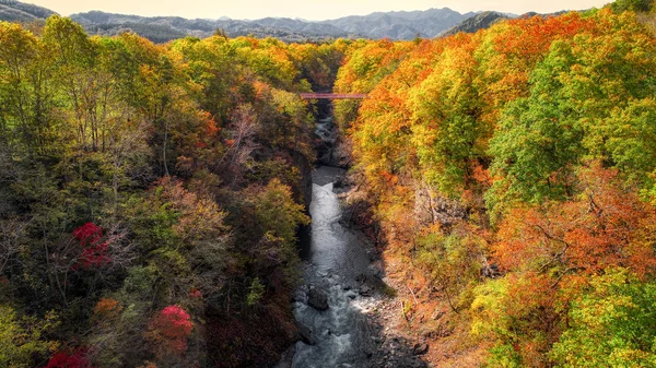 Outono Canyon Hokkaido — Fotografia de Stock