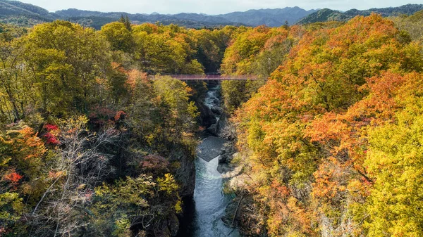 Outono Canyon Hokkaido — Fotografia de Stock