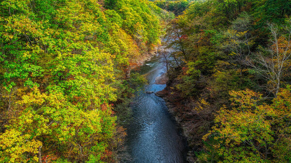 autumn in canyon hokkaido