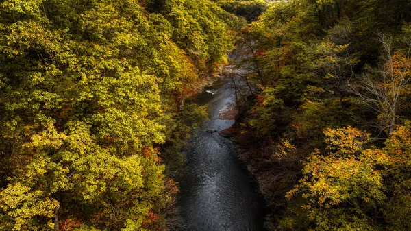 Hösten Canyon Hokkaido — Stockfoto