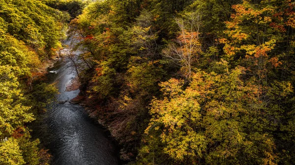 Herbst Canyon Hokkaido — Stockfoto
