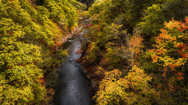 autumn in canyon hokkaido