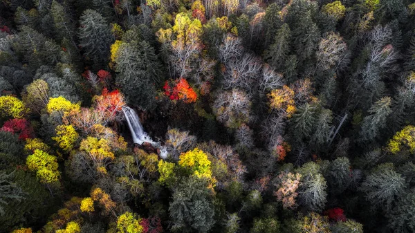 Les Podzim Hokkaido — Stock fotografie