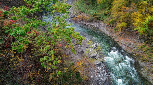 Herbstwald Und Fluss — Stockfoto