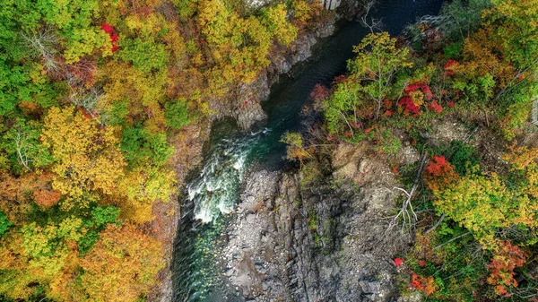 Φθινοπώρου Του Δασικού Και Του Ποταμού — Φωτογραφία Αρχείου