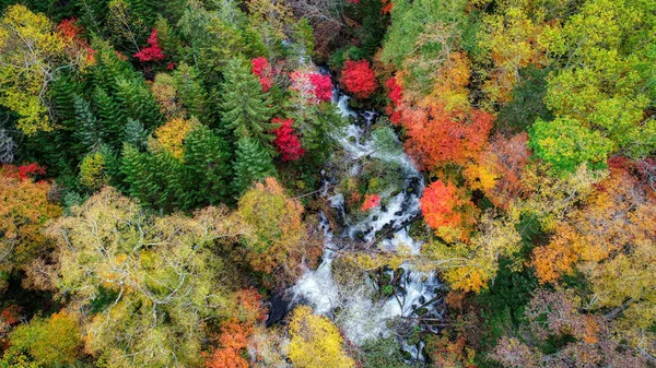 Herbstwald Und Wasserfall — Stockfoto