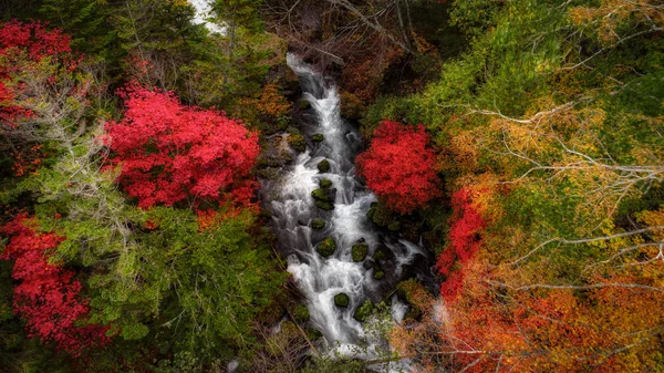 Autumn Forest Waterfall — Stock Photo, Image