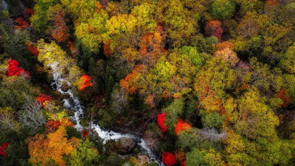 Jesień Las Wodospad — Zdjęcie stockowe